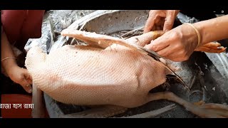 রাজ হাস পরিষ্কার করার সহজ উপায়_ how to clean raj has /duck