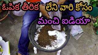 liquid fertilizers చేసుకోలేని వాళ్ళు, ఇలా చెయ్యొచ్చు, alternative for liquid fertilizers