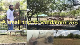 A small trip to vandalur zoo 2024 | chennai zoological park | வண்டலூர் பூங்கா