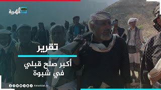 أكبر صلح قبلي في شبوة ينهي قضية ثأر استمرت لـ 80 عاما