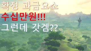 정말 듣도 보도 못한 이상한 과금요소를 가지고 태어난 갓겜