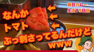 【SUSURUインスパイア】新宿にずーっとあるカレー屋【ガンジー】CURRYO TV.第75回