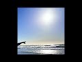 SOCIAL POET - Thief