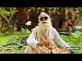 if you want your life to be profound you need to pay attention sadhguru