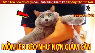 Mồn Lèo Béo Như Lợn Và Hành Trình Giảm Cân Không Thể Tin Nổi || Review Con Người Và Cuộc Sống