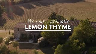 Fever-Tree: Mediterranean Tonic 16x9