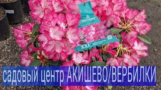 Обзор садового центра🌿🌲💮🌹