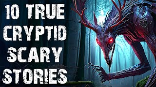 10 True Disturbing Cryptid \u0026 Inexpiable Encounter Scary Stories | Horror Stories To Fall Asleep To