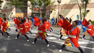 📌飛勇凛の大団円 奥州YOSAKOI in みずさわ自由広場2019