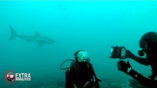 DIVING WITH GREAT WHITES!