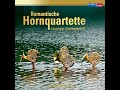 grand quatuor für vier hörner in verschiedenen stimmungen op. 26 i. allegro con brio a risoluto