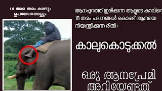 കാലുകൾ അനക്കിയാൽ ഏങ്ങനെ ആനകൾ നീങ്ങും ? കാലുകൾ അനകേണ്ട രീതികൾ പഠിക്കാം. Kariveeran | Kerala elephants