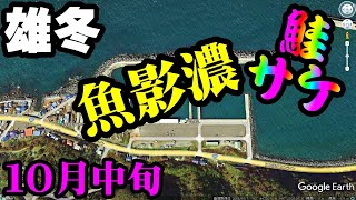 【鮭釣り】北海道増毛雄冬漁港・サケ・アキアジ・浮きルアー・浮きフカセ・朝マヅメ・魚影濃2021年10月：[Salmon fishing] Parent-child challenge