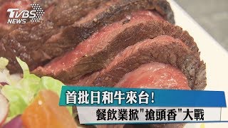 首批日和牛來台！　餐飲業掀「搶頭香」大戰