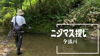 【夕張川水系】夏のニジマスを探して釣る