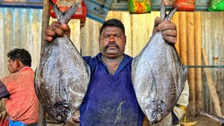 KASIMEDU 🔥 SPEED SELVAM | HUGE POMFRET FISH CUTTING VIDEO | 4K VIDEO | KM FISH CUTTING