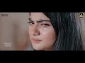 wal watan tey ameer niazi official music video 2024 ameer niazi official