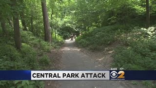 Central Park Robbery