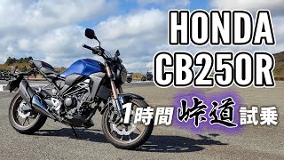 CB250R 2019 HONDA【試乗レンタル】自分用乗り換え参考レビュー【モトブログ】