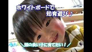 【知育動画】おうちで知育/ホワイトボード遊び【education video】