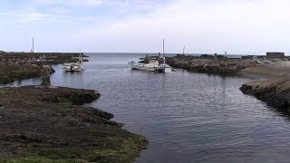 西之表市西海の小組合・小浦漁港の風景 種子島の風景シリーズ