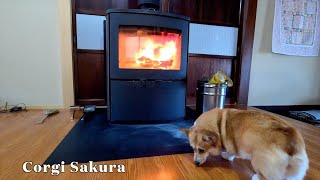 薪ストーブと時々コーギー / A wood stove and sometimes a corgi