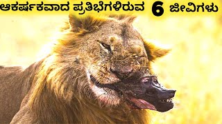 ಆಕರ್ಷಕವಾದ ಪ್ರತಿಭೆಗಳಿರುವ ಜೀವಿಗಳು || Six Amazing Incredible Creatures Part 16 || Kannada Factoids