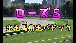 【競馬パドック】ローズS （2020年）出走馬前走パドック