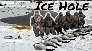 Hunting a HUGE ICE HOLE! (Limited out) | Goose Hunt Late Season in Missouri