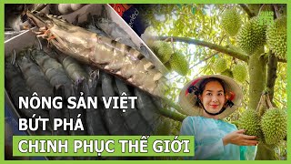 Nông sản Việt bứt phá chinh phục thị trường xuất khẩu | VTC16