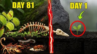 Simulating a Jungle for 500 Days (Predators and 1,000 Ants)