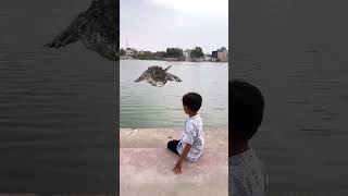 Aarav Ke Pas Aa Gaya Tha Magarmacch🐊😱