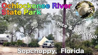 플로리다 흰다람쥐 Ochlockonee River State Park, 23년 1월2일~12일, 미국 50개 주, RV Road Trip의 기록