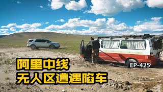 西藏阿里中线无人区不幸泥潭陷车，遍地都是野生动物的残骸