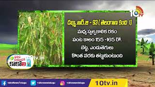 ఖరీఫ్ కంది రకాలు | Types In Kharif RedGram | Kandi Crop Farming | Matti Manishi | 10TV Agri