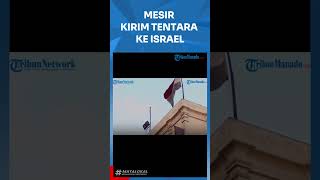MESIR KIRIM TENTARA KE ISRAEL