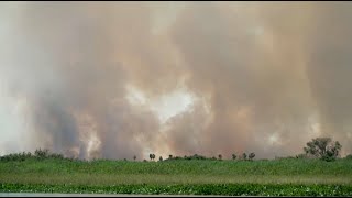 Бразилияда бір айда 2500 орман өрті тіркелді