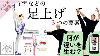 Y字などで足を上げるときに使う３つの要素｜バレエ整体