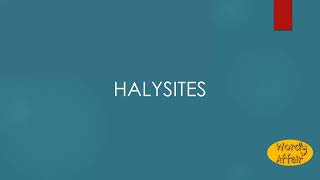 Halysites Meaning