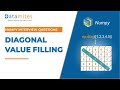 Fill diagonal value in Numpy Array - Numpy Tutorial