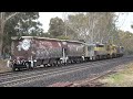 ssr valet dramas at kangaroo flat nov 2024