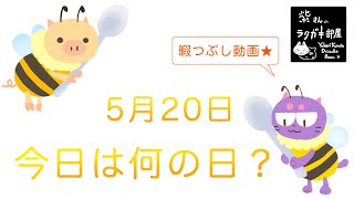 日めくりラクガキ【イラストメイキングアニメーション】2020年5月20日　今日は何の日？