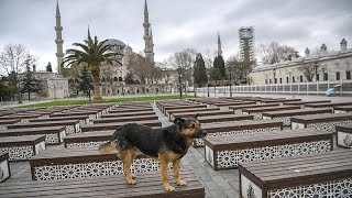 Комендантский час в Турции