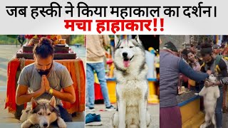 देखिये जब केदारनाथ के दर्शन को पहुँचा पालतू कुत्ता, तो कैसे मच गया बवाल | Syberian Husky Darshan to