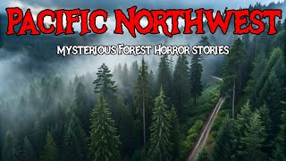 11 Most Disturbing Pacific Northwest Mysterious Forest Horror Stories