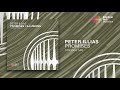 Peter Illias - Promises ( Original Mix ) *OUT NOW*