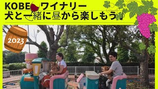 1984年完成【神戸ワイナリー】でイヌとのんびりしませんか♪テラスでランチも、お散歩もギフトSHOPもあります✨