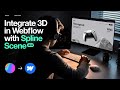 NEW! Integrate 3D into Webflow with Spline Scene - Tutorial