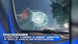 Windshield‑smashing spree: Police arrest man dubbed 'Hammer Slammer'