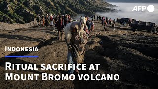 Indonesia volcano draws thousands for ritual sacrifice | AFP